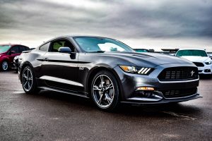 mustang